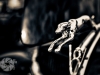 mg_6359_hdr-3